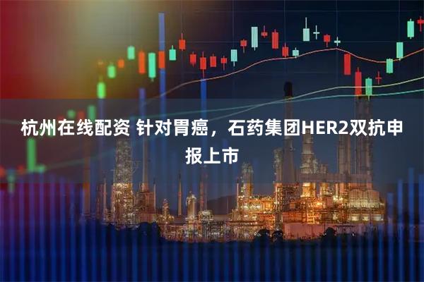 杭州在线配资 针对胃癌，石药集团HER2双抗申报上市